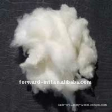 dehaired cashmere fiber